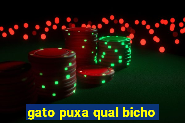 gato puxa qual bicho